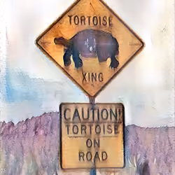 Tortoise .09