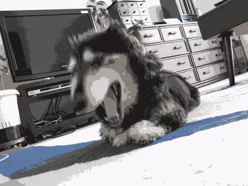 Item #31763483209557281269385879109424211242464800578644497247199877783826831769601 Media