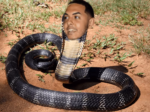 OG_BOUILLON Collection