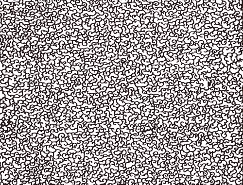 Item #111175454706309980340306690619253369818792322243020108686629048801730628681729 Media