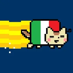 Mexico cat
