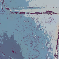 Tattered Paint #14