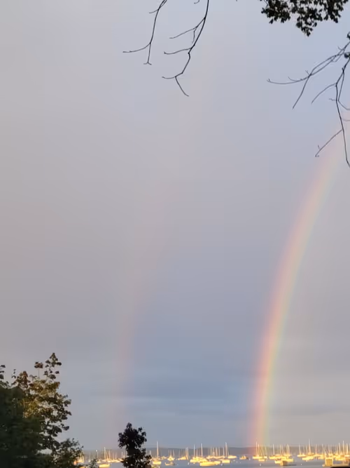 Item #4583203688154496710464576617550160289260541301864270714739251218645031845889 Media