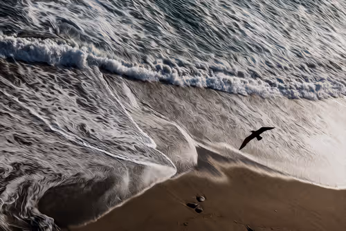 Item #94302163411569095589289123968041002973019814470584416299482263143916450611201 Media