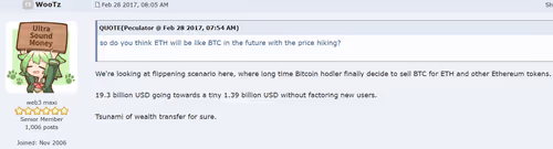 _ChocoMint Collection