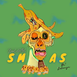 SMAS Concept