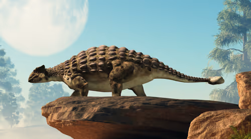 Item #15201862250514145958676777466825728141953005429687029988591517100783635005441 Media