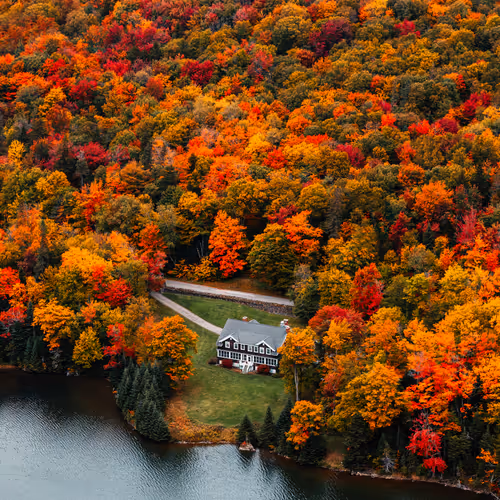 #14 Nestled Cabin