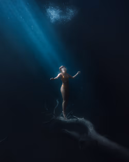 Item #28576884558960261702679330541156353592021494721255183711613472588099707994113 Media