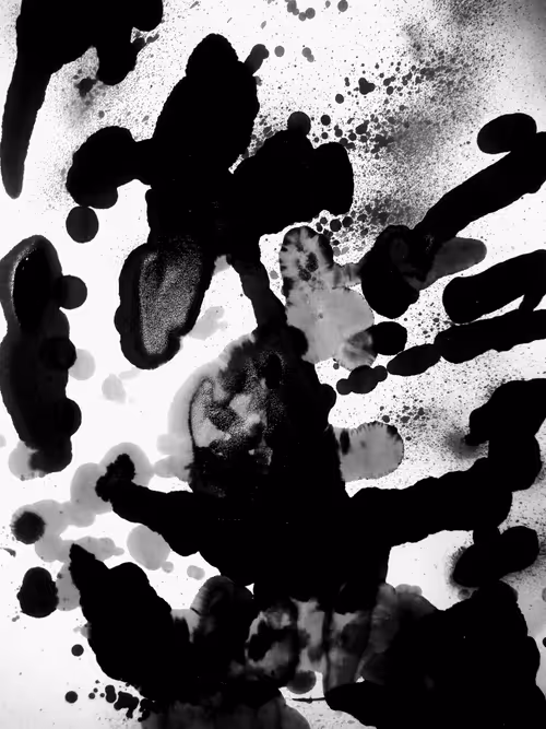 Item #64466523269938500867477772710404376308525041560697885327991816705848612225025 Media