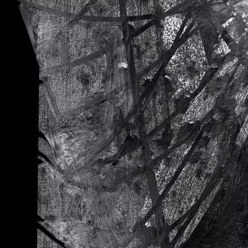 Item #102102916121796597229990151930085578188091991930388543495708461084397174521857 Media