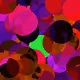 27485441570339410751458161112170074865610546237329051408727591584562006720513