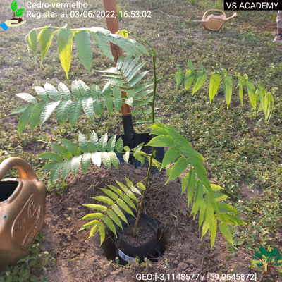 Item #8500196597889277390194123329501889087166328879864934763448348801726081400833 Media