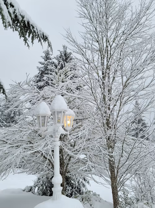 Item #40580853883493806222134455887535058712087895995354480530869706453668920819713 Media