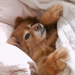 Perfect Winnie