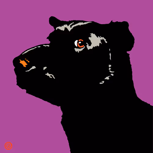 Item #1471147628704737889438767133014226167945868547252600766557675665461046411265 Media