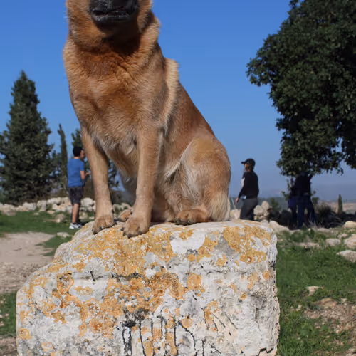 Untitled Collection #19244057