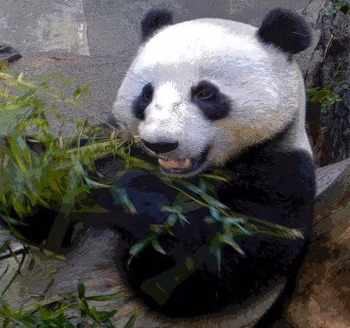 Item #95619151568614802974454947629602672965769746893472874508208249338423192584193 Media