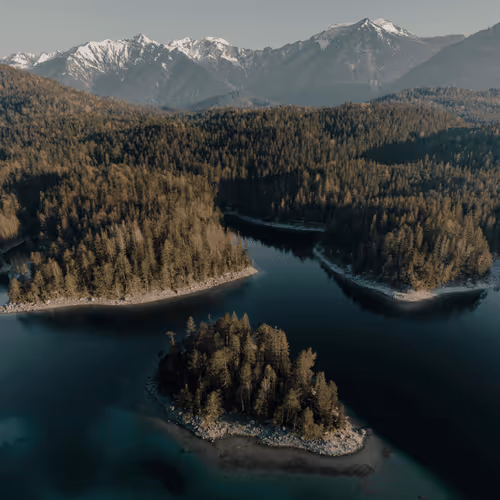 Limited Editions by Sam Oetiker