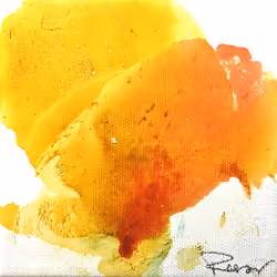 98011585353712912599912391348187927802908193681060455998264871838279213776901