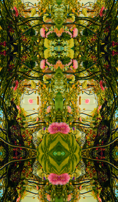 Item #54411499690937640101772425138653578544162397958311670010148906862080121896961 Media