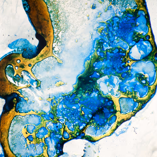 9251341193756129610411101804839683921415719585297066577807806976601914081281