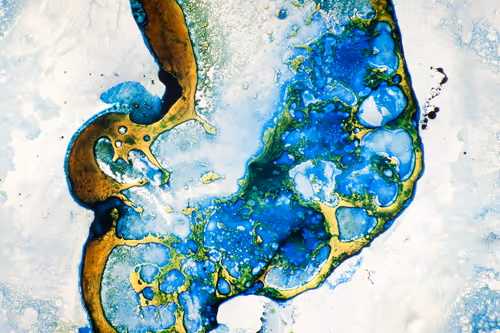 Item #9251341193756129610411101804839683921415719585297066577807806976601914081281 Media