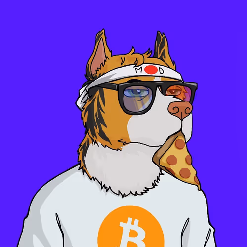 Untitled Collection #148372038