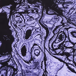 115338729222800520070386886369929169666551686229421791026138919743546420363265