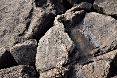 Item #68800123458035658143408460056219206378254568321398204671677925563857029300225 Media