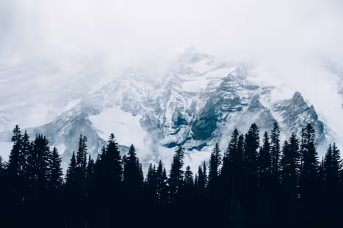 Item #63454844605715267947314910232292346032056647728766809663184741535175275446273 Media