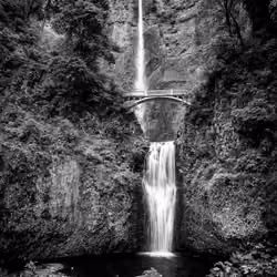 Multnomah Falls Black and White