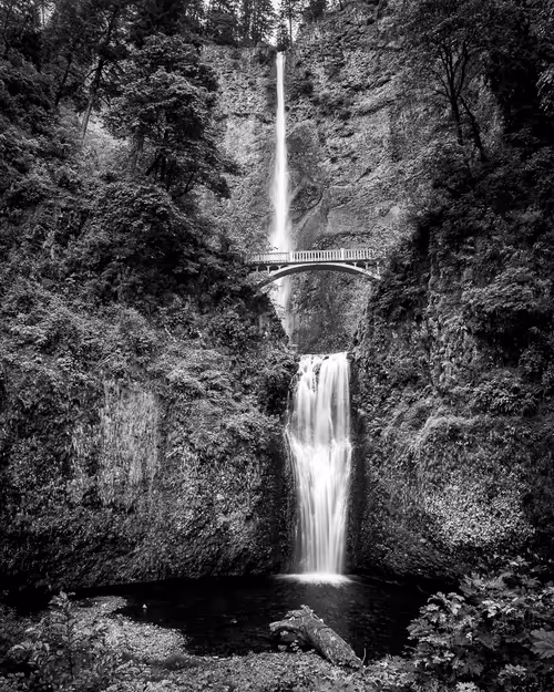 Item #96012126025726909398186429411282779476527200185327796802076911422647509712897 Media