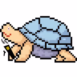 Tropical Tortoise #14