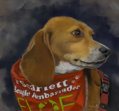 Item #35986509549770625012487594269002107871142971854642971430151182235107367845889 Media