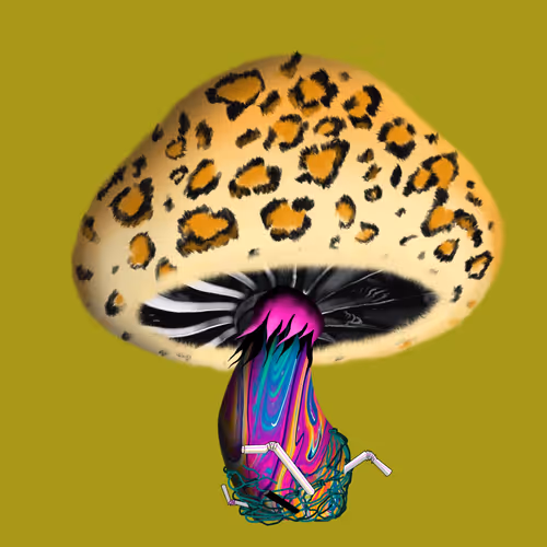 Item #46034849265832991985054005845495595569977159826723230396281256645386469113857 Media