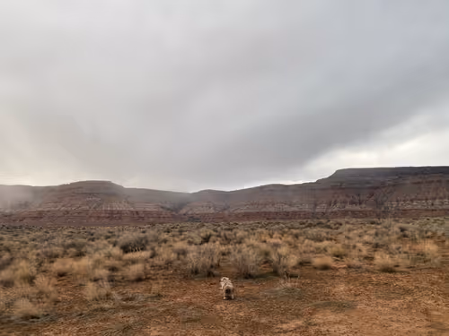 Item #88063557034118437660925886446302507819426649905583175627315428956410350665729 Media