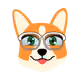 62767423891949349763996181277726496551676860452243813785537216470735564832769