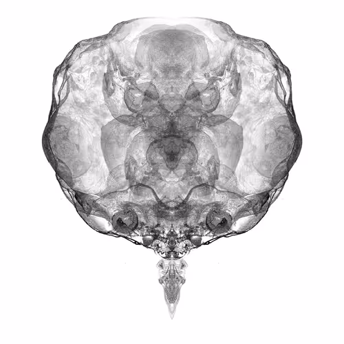 Item #85859191866638808365331437874953228966785819470149775310971063316491947474945 Media