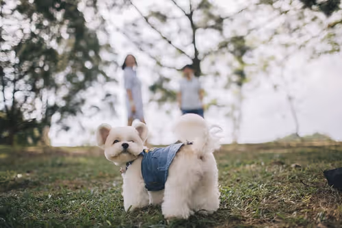 Item #21607923784025543658024067331009769919395041958272689574271021077080924225537 Media