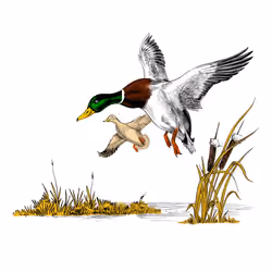 Hunting Season