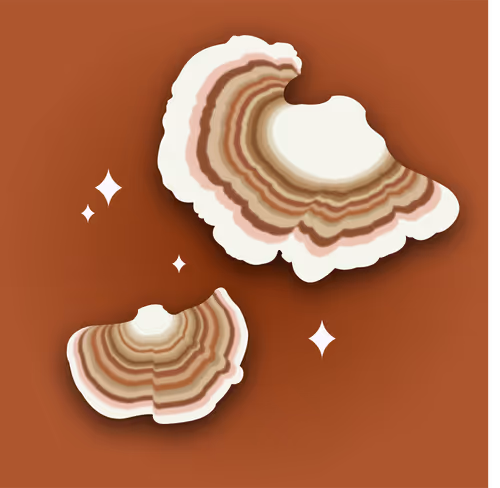 Item #53620360078498613901339183149326713416038543427946561370212888005309324328961 Media