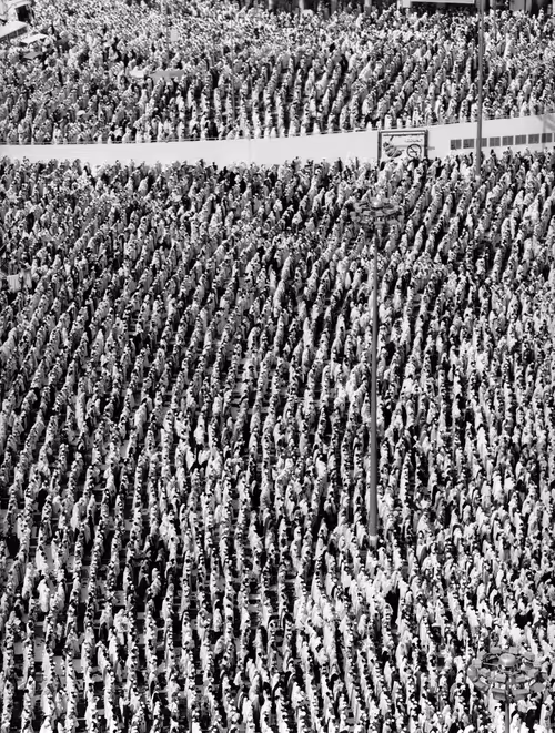 Item #104023740810564835841193669155962903667755292724793948450672365520955797143553 Media