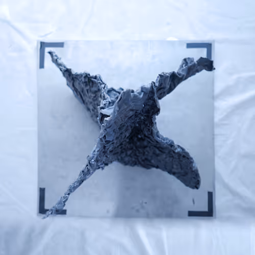 Item #95436732890979525024244817414416394684744946412133006336000343146182333169665 Media