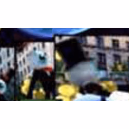 Goku_Doge Collection - old