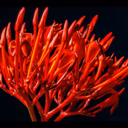 112000724350228495474711911108130364376243231564197861893917056922678198282