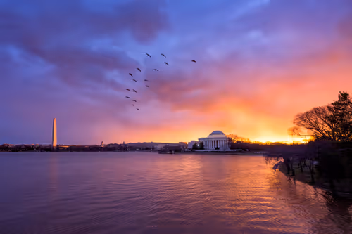 Item #19450169499538265930532855406348512223111390905412223129700176595037460627457 Media