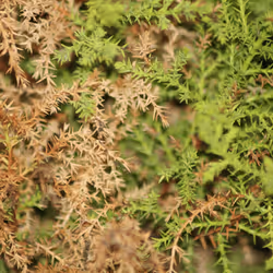 51124555051901614330264480006545612592022390906904121289505624520627283034113