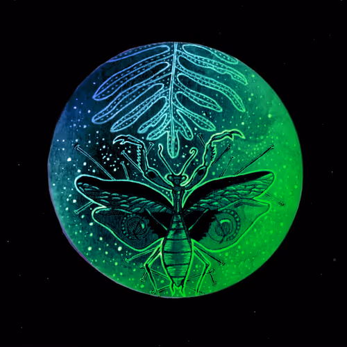 valentinewon Collection - old