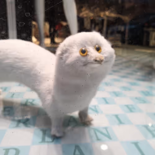 empire1024 Collection